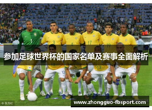 参加足球世界杯的国家名单及赛事全面解析