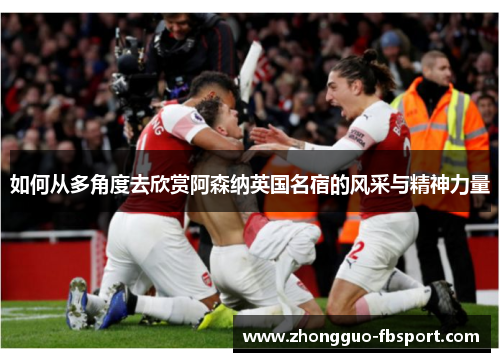 如何从多角度去欣赏阿森纳英国名宿的风采与精神力量