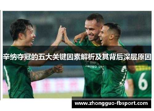 辛纳夺冠的五大关键因素解析及其背后深层原因