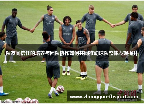 队友间信任的培养与团队协作如何共同推动球队整体表现提升
