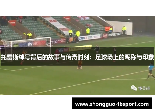 托雷斯绰号背后的故事与传奇时刻：足球场上的昵称与印象