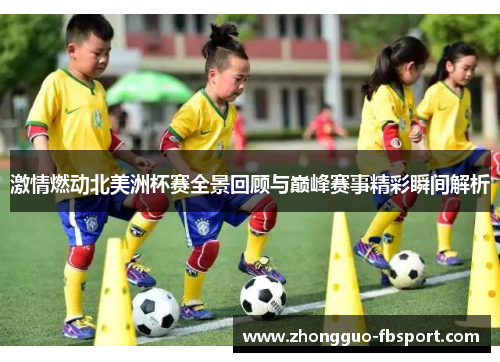 激情燃动北美洲杯赛全景回顾与巅峰赛事精彩瞬间解析
